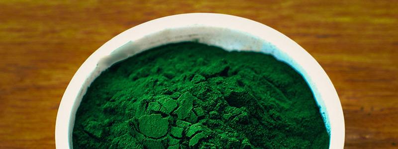 Chlorella