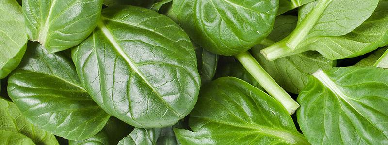 Spinach