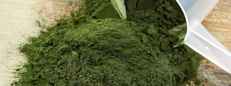 Spirulina